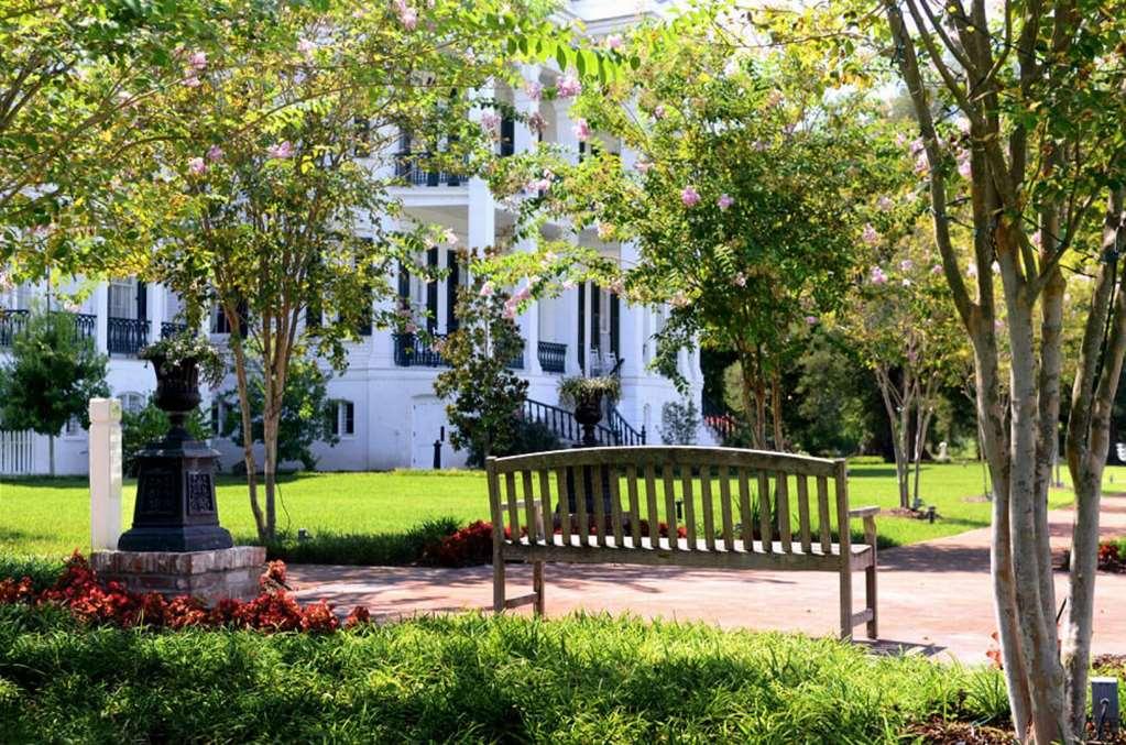 Nottoway Plantation And Resort White Castle Esterno foto
