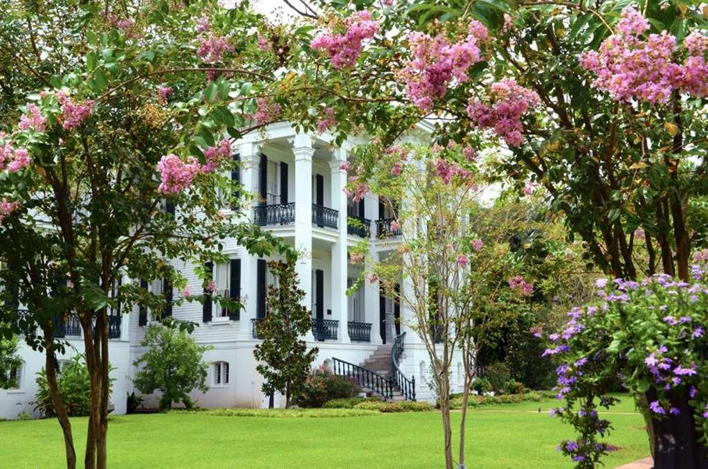 Nottoway Plantation And Resort White Castle Esterno foto
